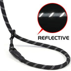 Reflective Dog Leash Heavy Duty Nylon Padded Handle