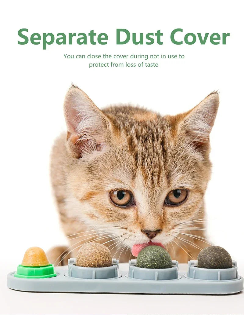 Catnip Wall Ball Toy – Rotating Interactive Cat Teeth Cleaning Toy