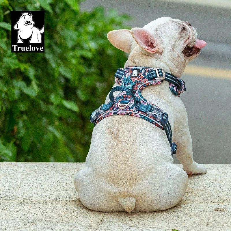 Reflective Dog Harness – Padded Outdoor Vest for All Sizes
