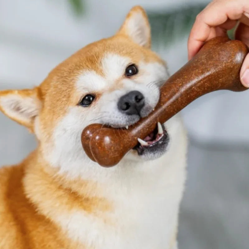 Dog Bone Chew Toy – Wooden Puppy Toy for Small to Large Dogs