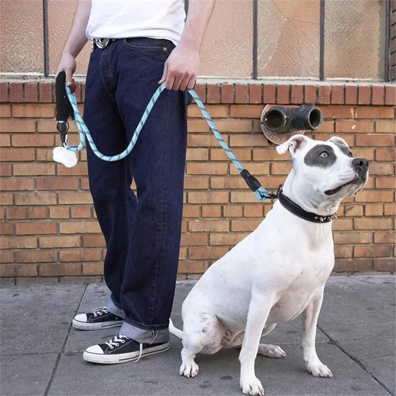 Reflective Dog Leash Heavy Duty Nylon Padded Handle