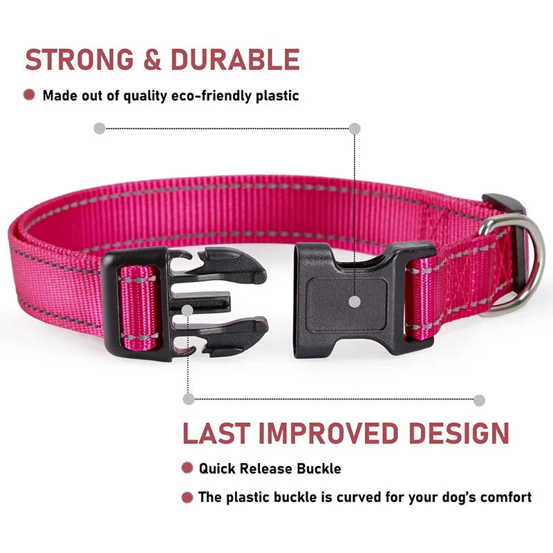 Reflective Dog Collar – Adjustable Nylon Safety Collar with Buckle
