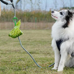 Dog Poop Bag Holder, Leash Clip Waste Bag Dispenser for Walking
