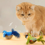 Interactive Bird Cat Toy – Teaser with Catnip