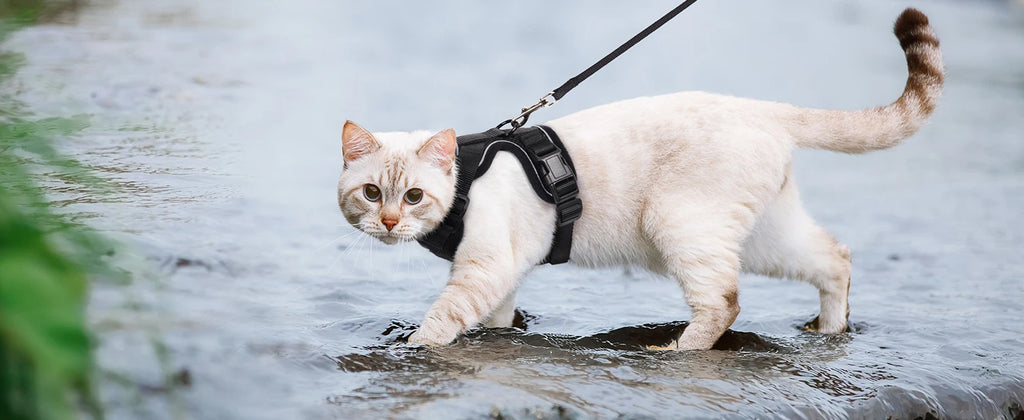 Cat Harness and Leash Set – Adjustable Vest for Walking