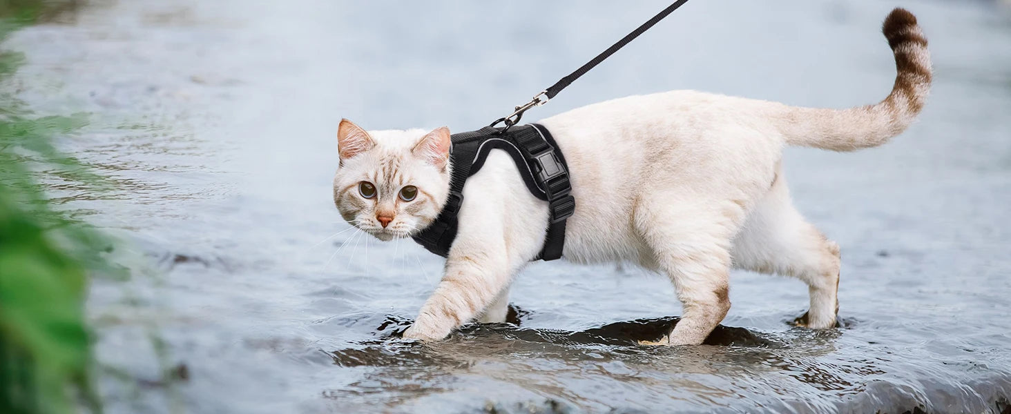 Cat Harness and Leash Set – Adjustable Vest for Walking