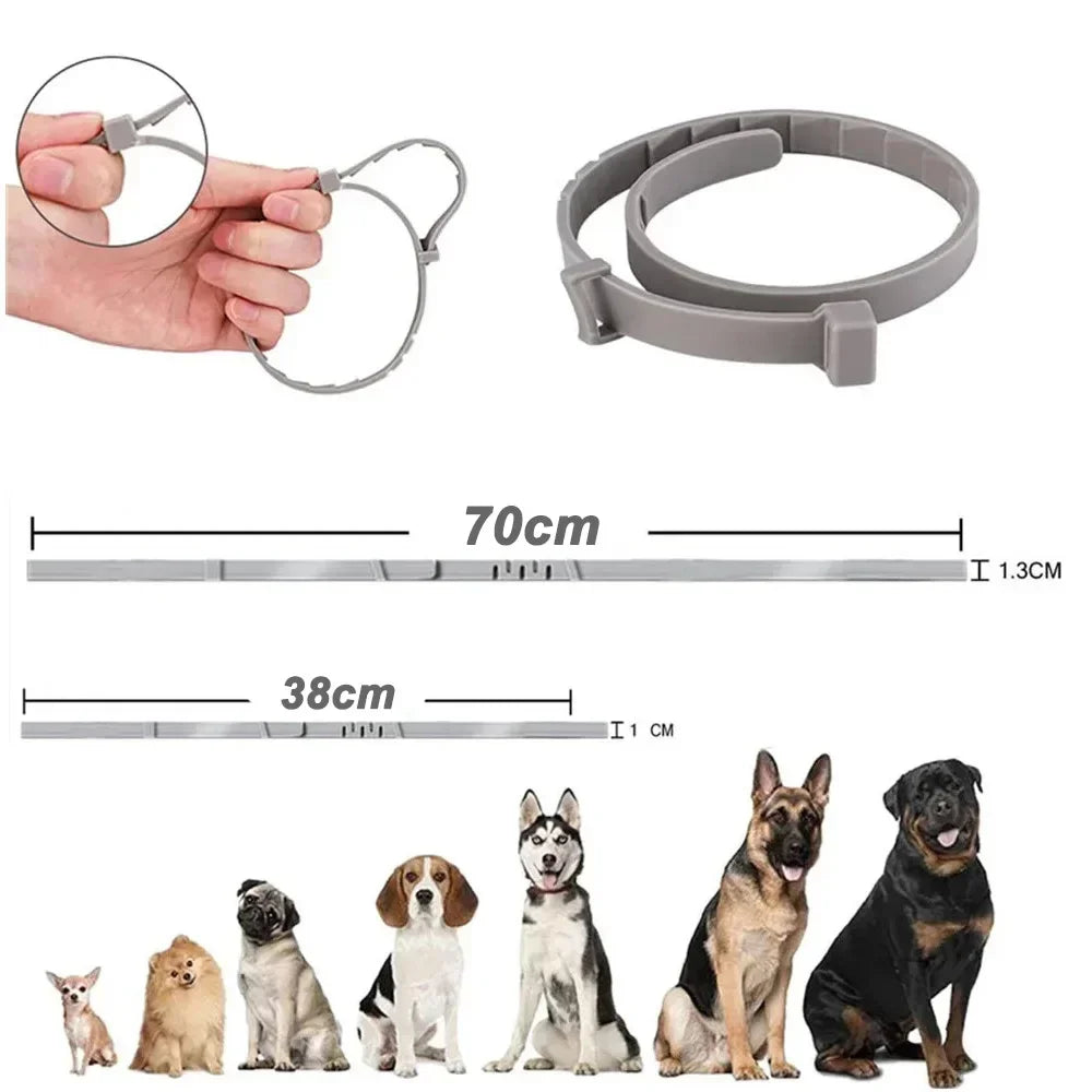 Breakaway Dog Collar – Adjustable Slip-On Collar for All Seasons
