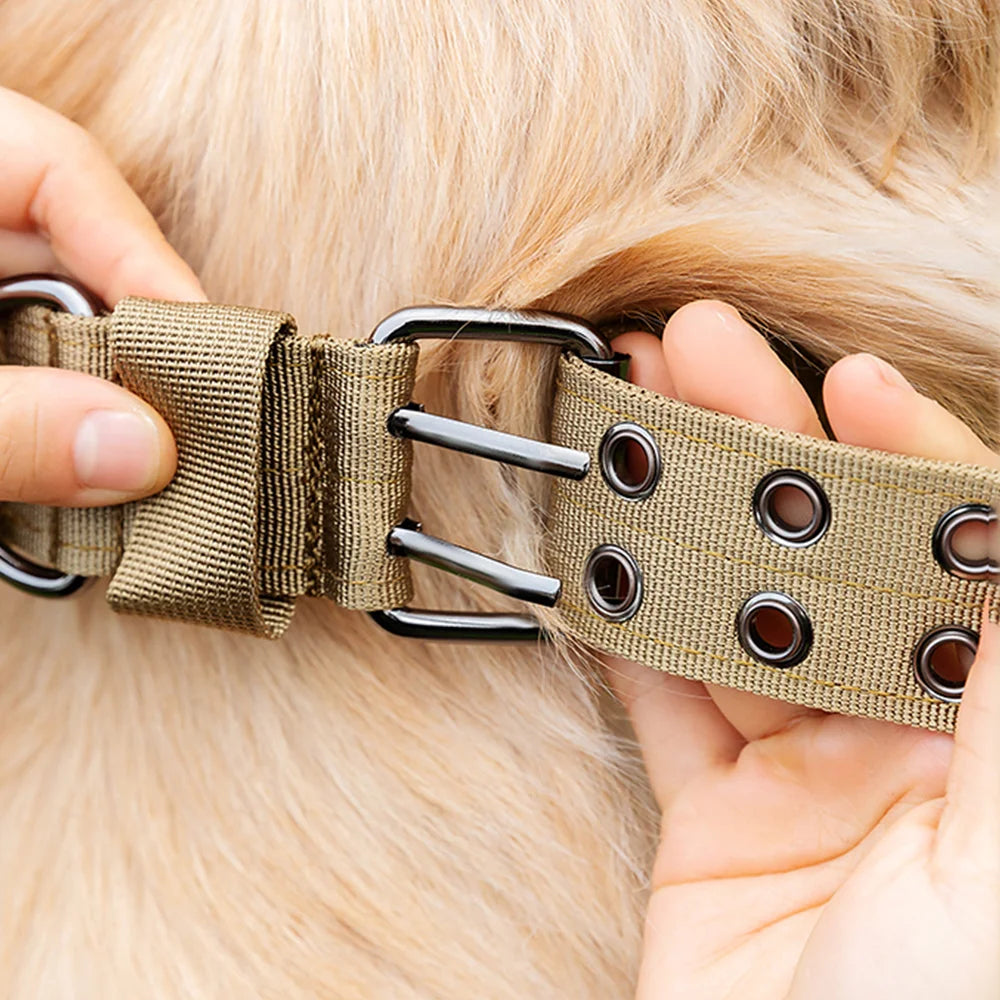 Military Dog Collar