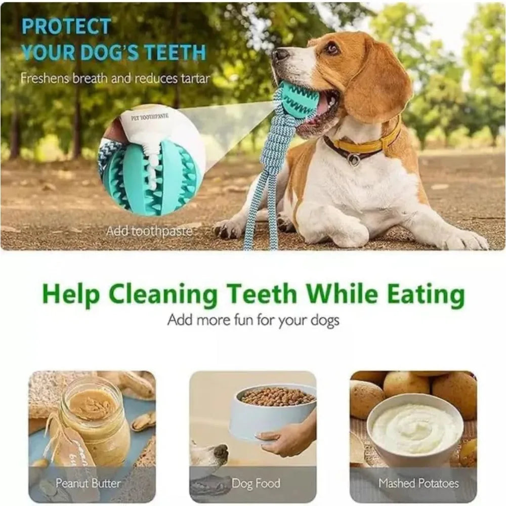 Dog Chew Toy Rubber Ball for Teeth Cleaning & Training
