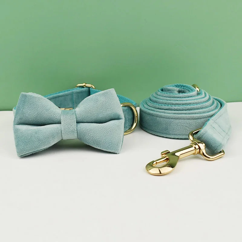 Dog Collar and Leash Set, Adjustable Velvet Collar with Gold Detail