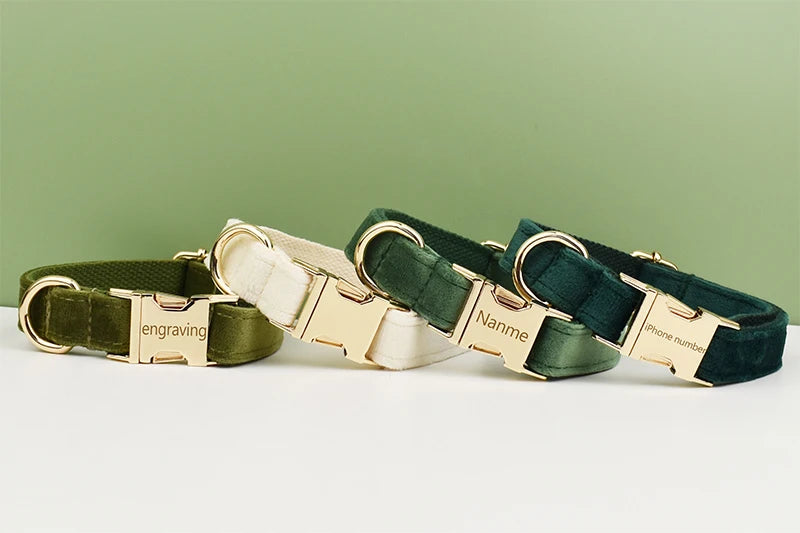 Dog Collar and Leash Set, Adjustable Velvet Collar with Gold Detail