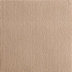 Cat Scratcher Mat – Trimmable Furniture Protector