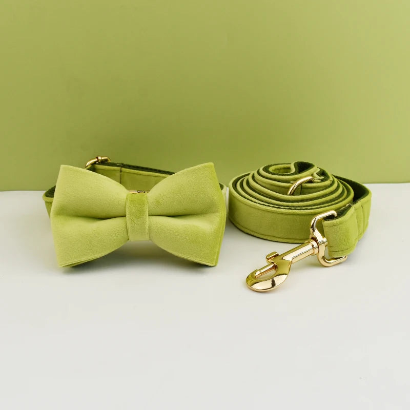 Dog Collar and Leash Set, Adjustable Velvet Collar with Gold Detail