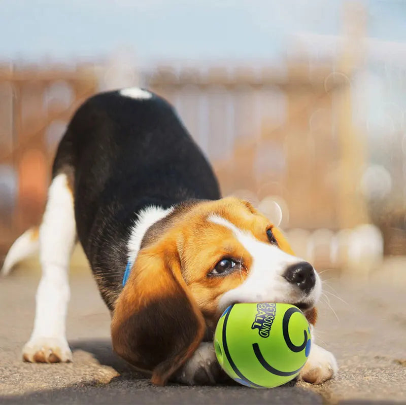 Interactive Dog Ball – Rolling Giggle Sound Toy