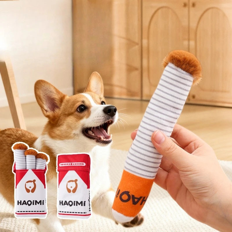 Squeaky Dog Toy Plush Interactive Chew Toy for Dogs