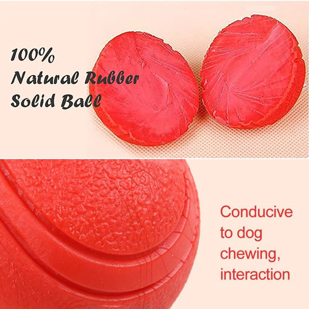 Dog Toy Ball – Rubber Training Ball for Outdoor Play