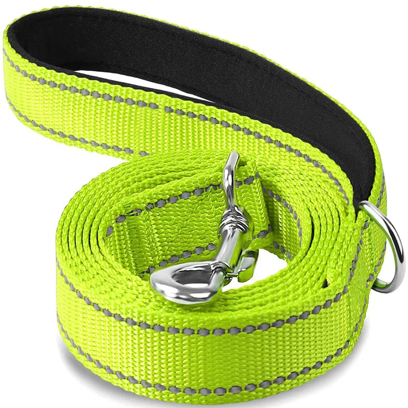 Reflective Dog Leash – Nylon Night Walking & Training Lead
