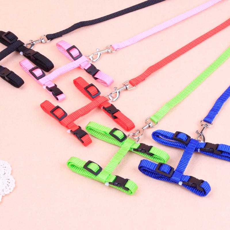 Adjustable Cat Collar – Breakaway Nylon Collar for Kittens & Cats