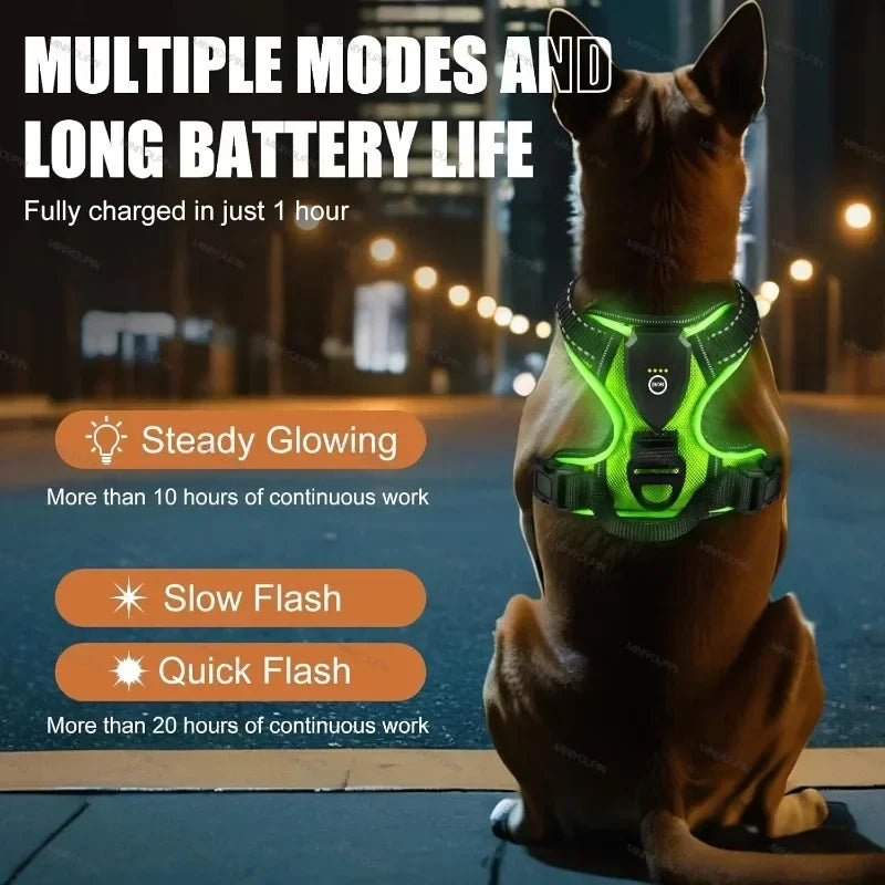 LED Dog Harness, Rechargeable Light Up Vest for Walking