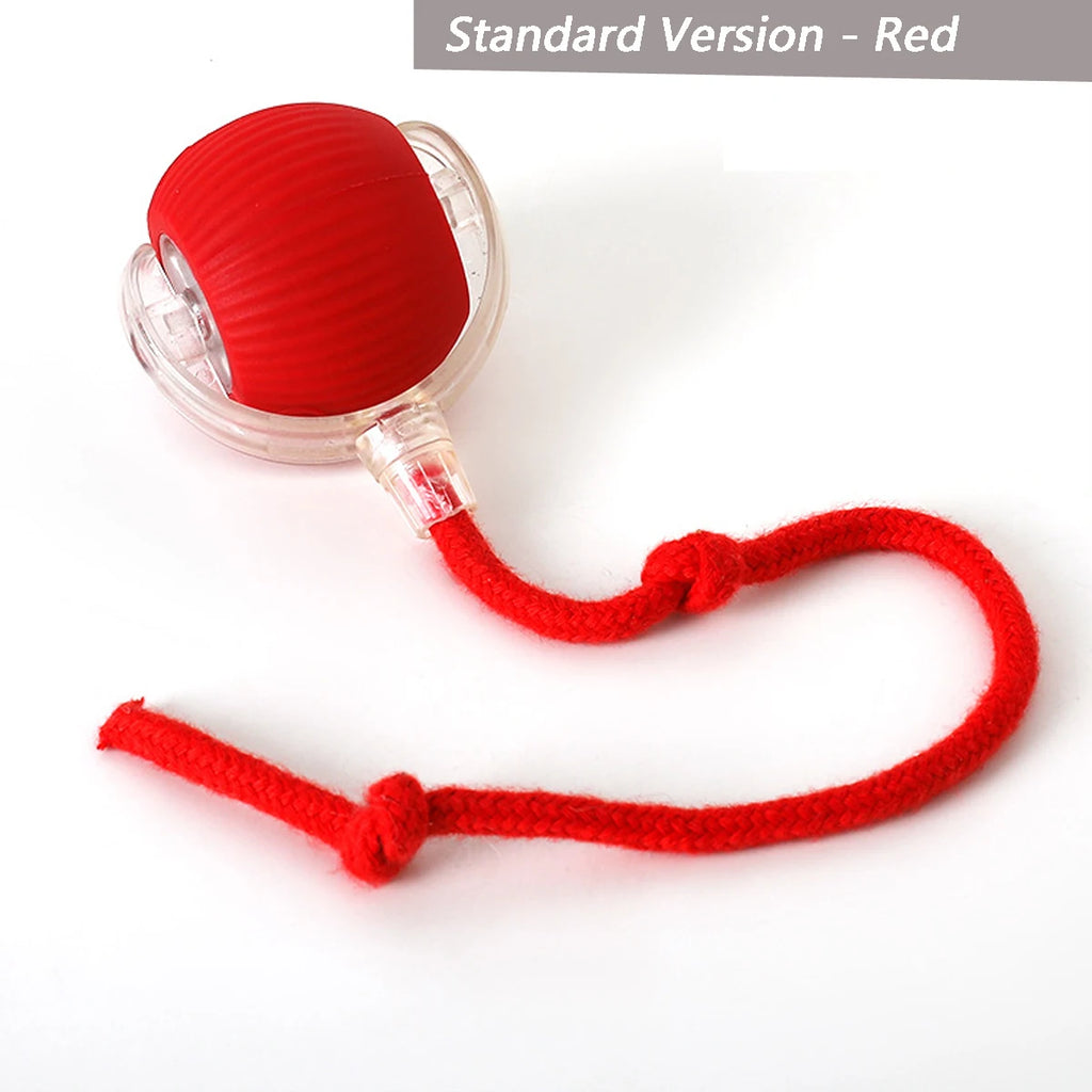 Automatic Cat Ball Toy – Interactive Self-Moving Rolling Ball