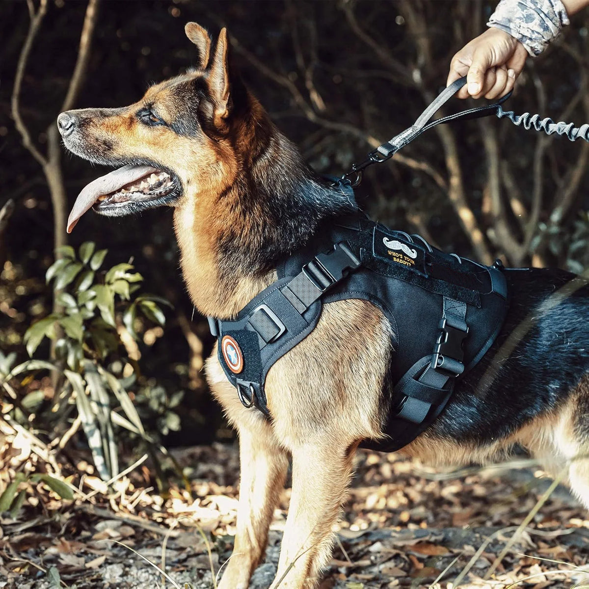 Tactical Dog Harness – Adjustable Vest with Control Handle