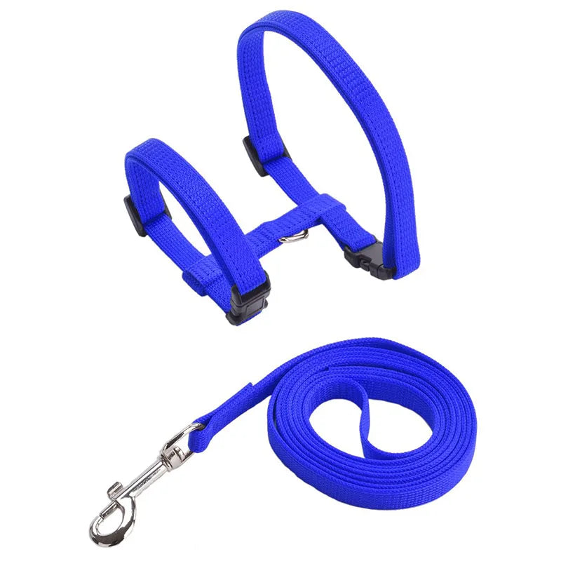 Adjustable Cat Collar – Breakaway Nylon Collar for Kittens & Cats