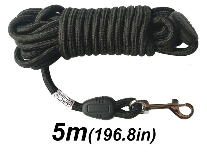 Long Dog Training Leash – 5M/10M/15M Nylon Recall Lead