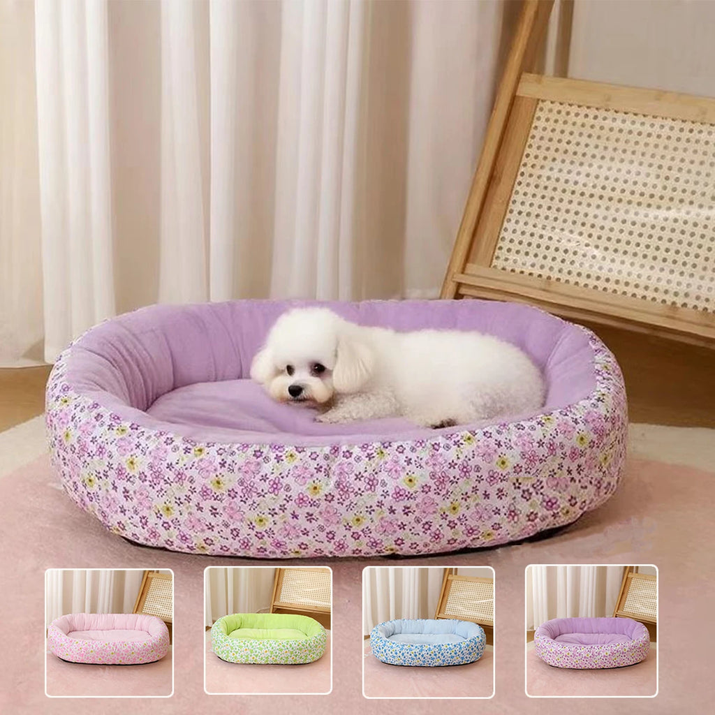 Dog Collar With Bell – Colorful Adjustable Collar for All Seasons