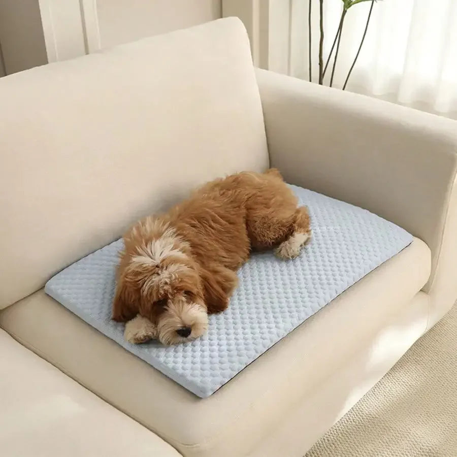 Cooling Cat Bed – Breathable Washable Padded Nest for Cats & Small Dogs