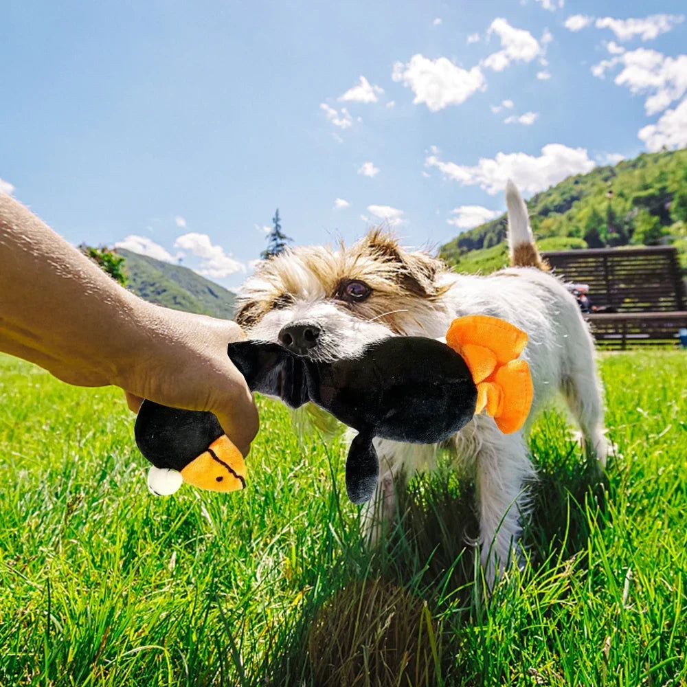 Squeaky Dog Toy – Chicken Plush Chew & Interactive Puppy Toy