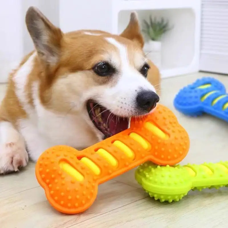 Rubber Dog Bone – Squeaky Chew & Interactive Toy