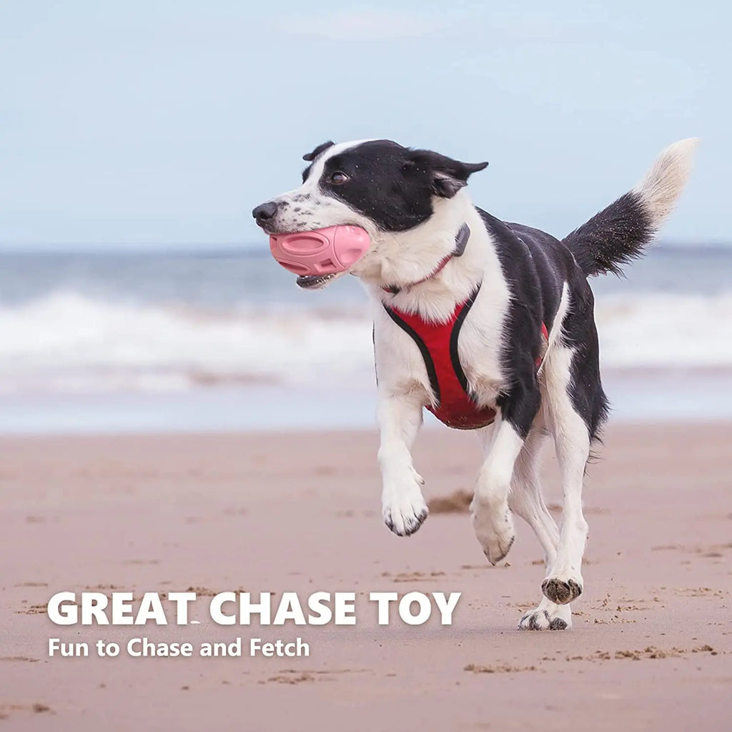 Rubber Dog Chew Ball – Squeaky Toy for Medium & Large Dogs