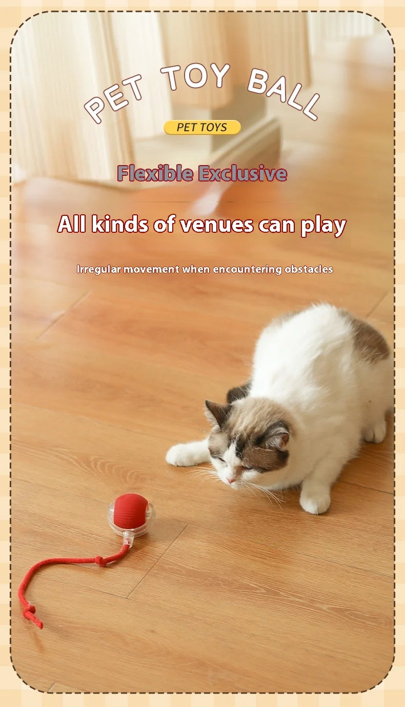 Automatic Cat Ball Toy – Rechargeable Interactive Rolling Ball
