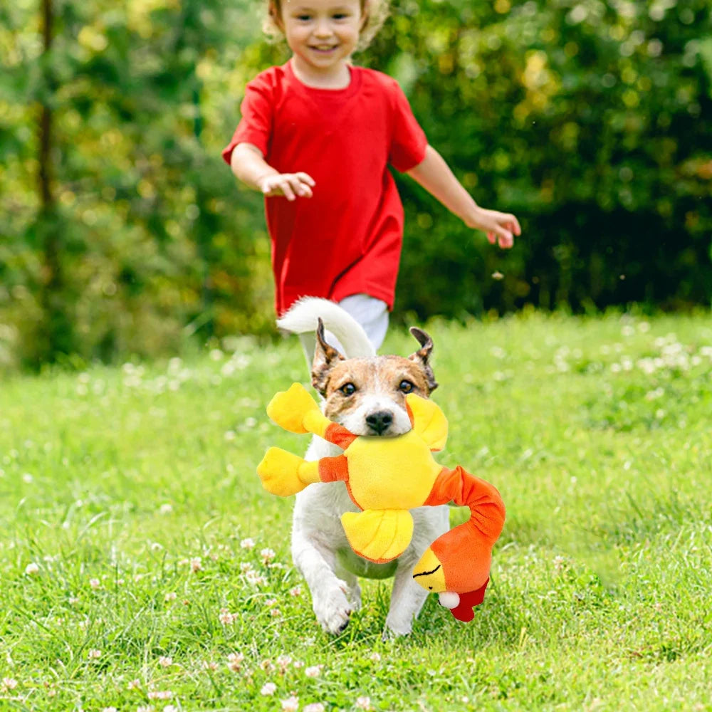 Squeaky Dog Toy – Chicken Plush Chew & Interactive Puppy Toy