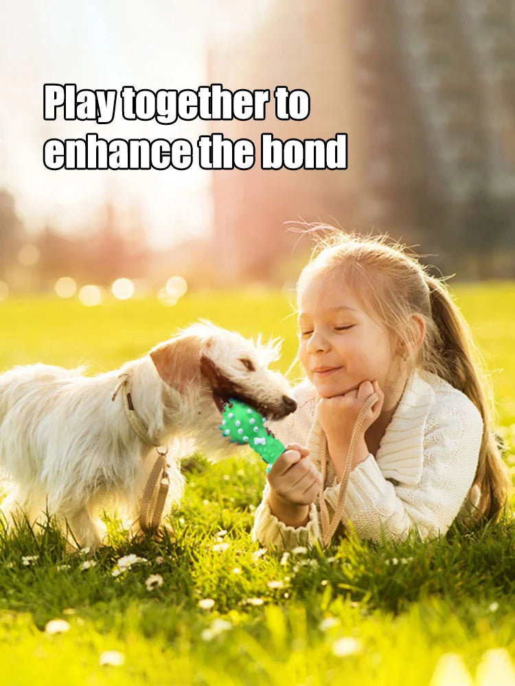 Dog Chew Toy Natural Rubber Safety and Environmental Protection Flexible Bite Resistance Clean Teeth