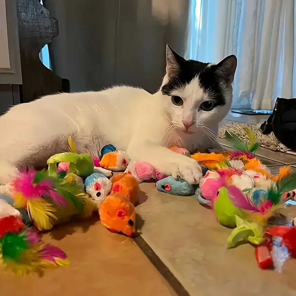 Cat Toys – Mixed Variety Plastic and Plush Toys