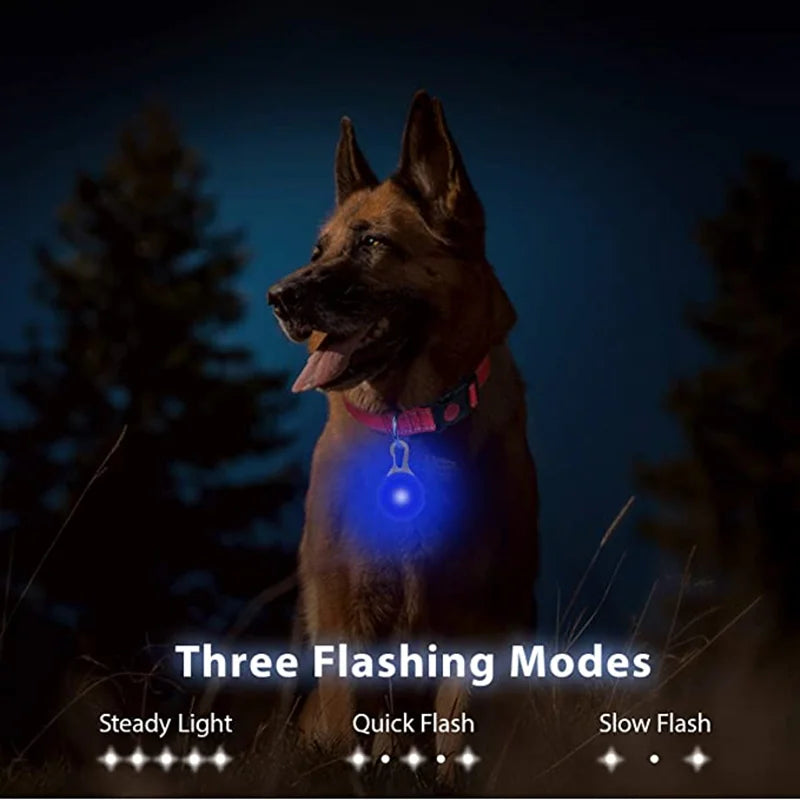Rechargeable Dog Collar Light – LED Pet Safety Pendant
