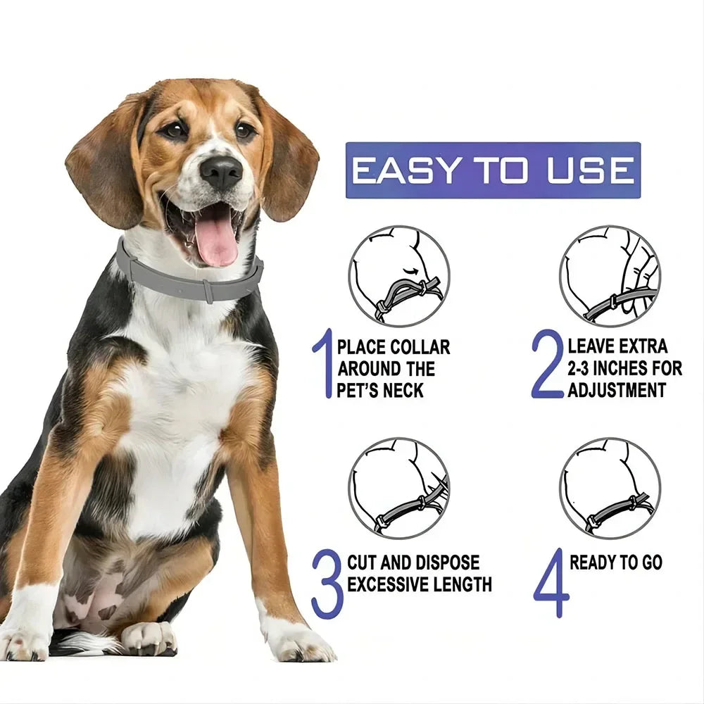 Breakaway Dog Collar – Adjustable Slip-On Collar for All Seasons