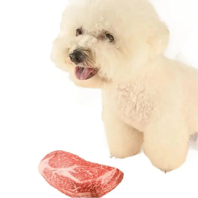 Squeaky Dog Toy Chew Bone for Puppies & Training