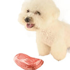 Squeaky Dog Toy Chew Bone for Puppies & Training