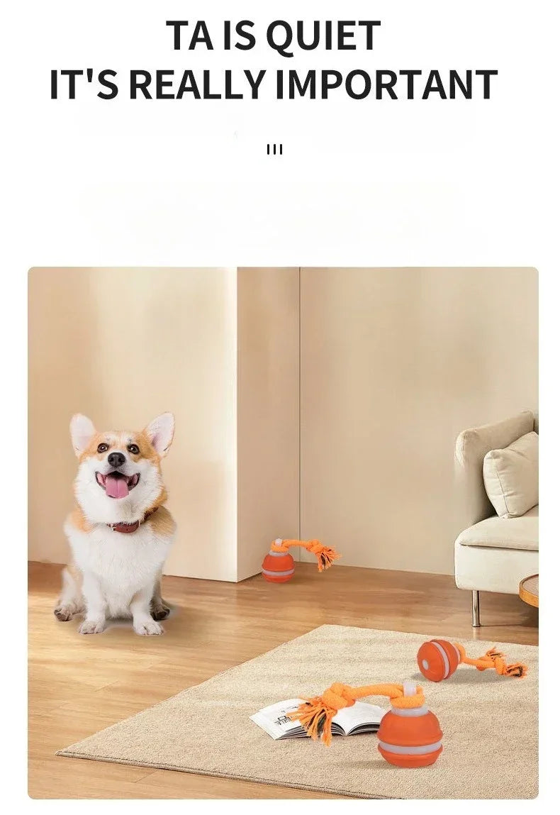Interactive Dog Ball – Motion Activated Rolling Toy for Dogs