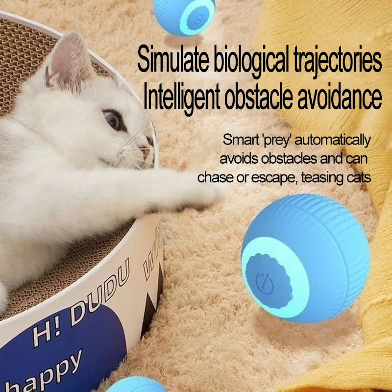 Automatic Cat Toy Rolling Ball Interactive Indoor Cat Toy