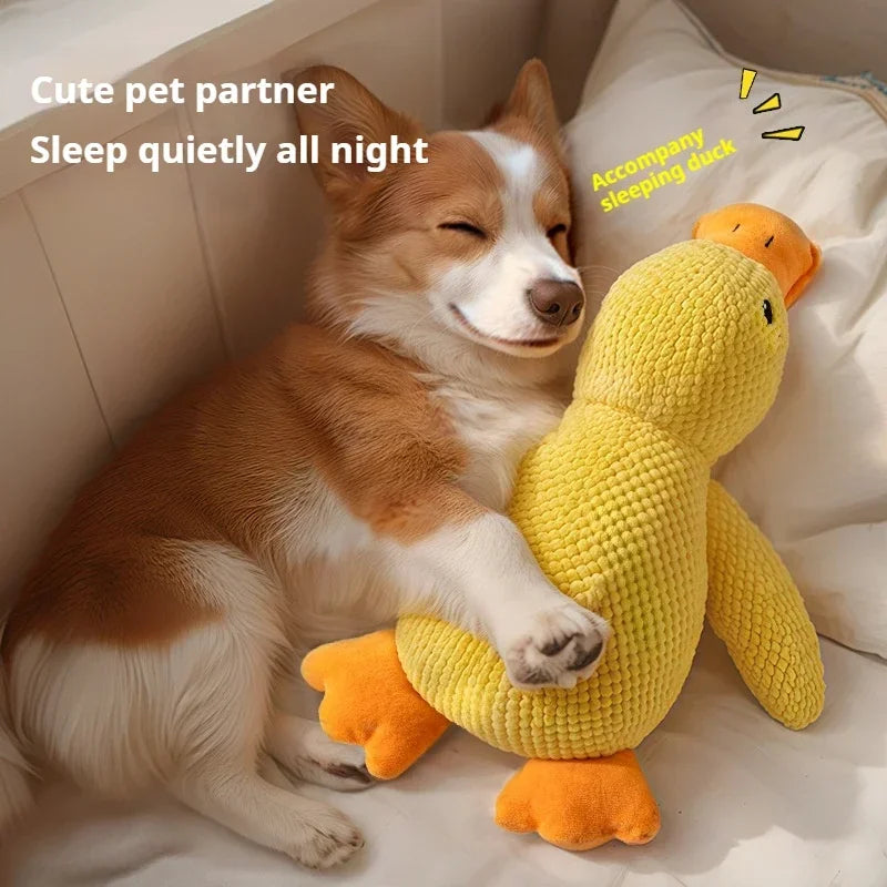 Plush Dog Toy – Squeaky Duck Chew Toy for Dogs