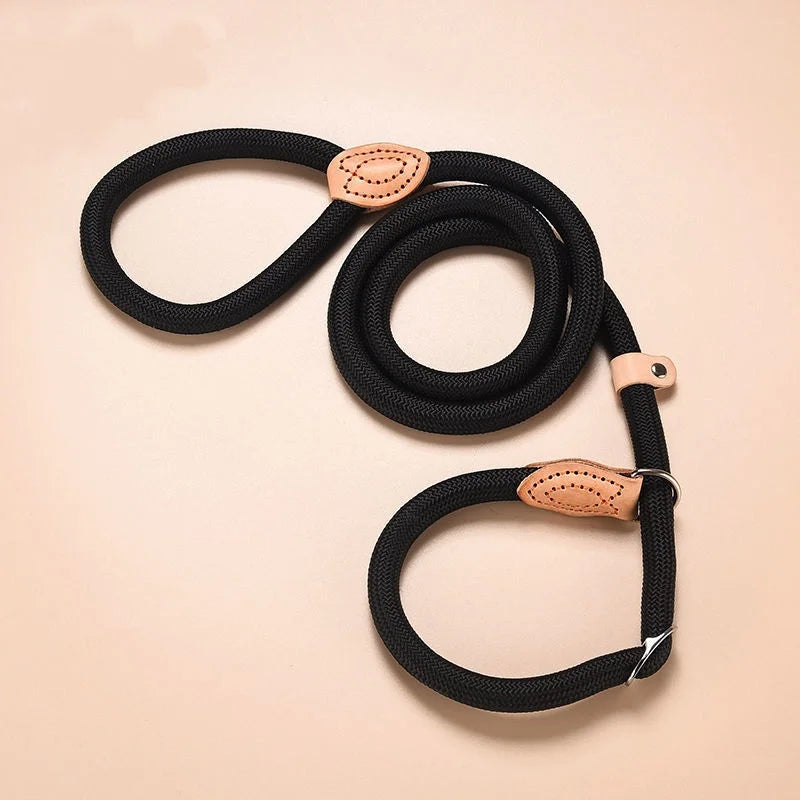Adjustable Dog Leash – Nylon Slip Lead for Small to Medium Dogs