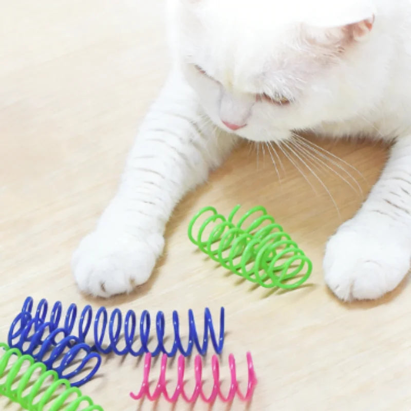 Cat Spring Toy – Colorful Interactive Plastic Cat Toy