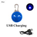 Rechargeable Dog Collar Light – LED Pet Safety Pendant