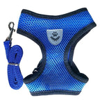 Cat Harness and Leash