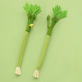 2Pcs Silver Vine Cat Toy, Interactive Chew & Teeth Cleaning Toy