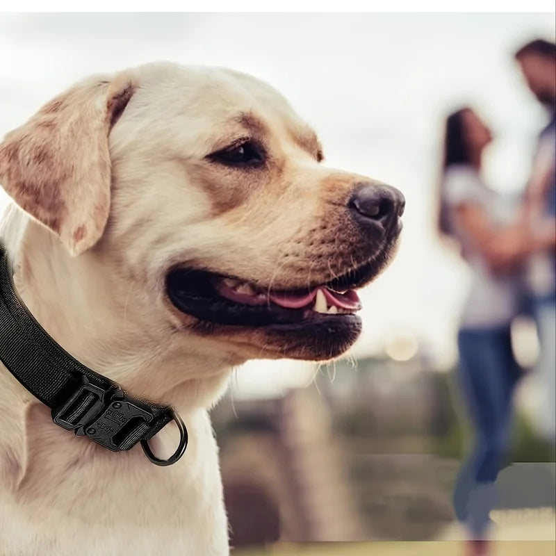 Tactical Dog Collar – Adjustable Nylon Training Collar with Handle