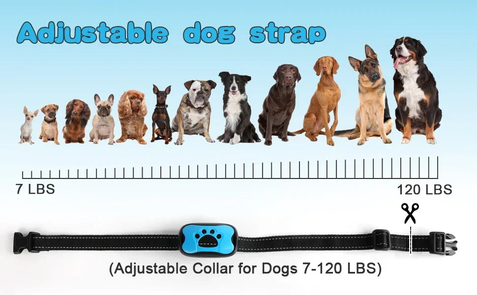 Ultrasonic Dog Bark Deterrent – Rechargeable Training Device